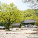 사나사(사찰 앞) | 양평 가볼만한곳 고즈넉한 사찰 경기도 절 사나사