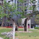 서초정부동산공인중개사사무소 이미지