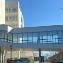 서울대학교병원 | 혜화역 서울대학교병원 산부인과 박찬욱 교수님 후기