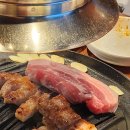 용운동 301-11 앞 횡단보도 | 대전 용운동 고깃집 대전대 맛집 한마음정육식당