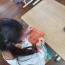 자연과식물원예연구소 이미지