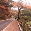 용산-453 이미지