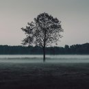 소로3-75 | 좋은지 나쁜지 누가 아는가-류시화(75)