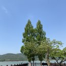 경주 여행 마무리 - 경주빵, 고향밀면, 천북양념통닭
