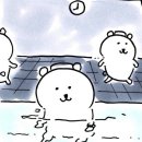 스프링헤어