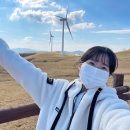 나 대관령왔어 이미지