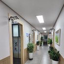 청록한정식 | [청록 한정식] 아는 사람들만 간다는 경북 안동 한정식집! 내돈내산 솔직후기