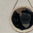 실로모아 이미지