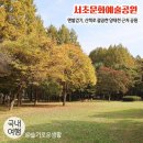 대천1리(광장)야외운동기구 | 서초문화예술공원 / 맨발걷기, 산책로 잘 되어 있는 양재천 공원 / 산책후기, 시설소개