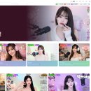 주식회사 팬더8 뉴스엔