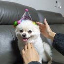 부가네얼큰이이호점