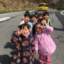 솔애유치원 이미지