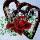 풀풀풀