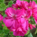 동상초등학교 이미지