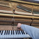 피아노스토리피아노교습소 이미지