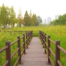 호수공원_원포광장 이미지