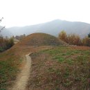 함안 말이산고분군 이미지