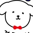 견공상회 이미지