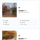 옥당걸숲속관광농원 이미지