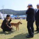 진도전자 이미지