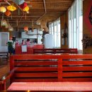 Cat garden 이미지