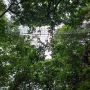 힐링 행정사사무소 이미지