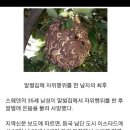 남성의 성욕이 무서운 이유 이미지