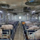 대주농장 이미지