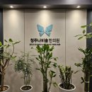 나비솔 한의원 | 새해부터 교통사고로 날려버린 설 황금연휴 | 청주 [나비솔 한의원] 입원실 후기