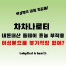 나로 티스토리