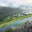 강변살자 이미지