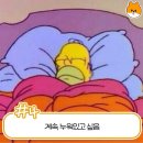 내몸밸런스