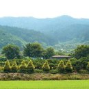 유구농장 이미지