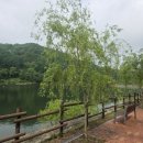 좌구산자연휴양림 이미지