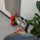 용인대다옴태권도장 이미지