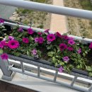 이디야 커피 무주점 이미지