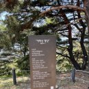 11650-17-105-5 | 등산초보 한라산 성판악코스 6월 완등 후기 | 홈페이지 사전예약, 준비물, 숙소 추천