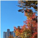 솔루션행정사무소 | 원주인허가 벧엘행정사사무소와 함께한 원주 행정 문제 해결 후기