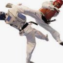 태권도현대체육관 이미지