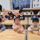 구립다온어린이집 이미지