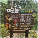 부산여행사 동그라미 여행사와 떠난 특별한 국내 여행 후기