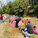 청아유치원 이미지