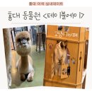 주식회사 테이블에이 고양이카페 | [테이블에이] 홍대데이트 추천, 이색데이트장소, 실내 홍대고양이카페 솔직후기