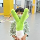 일등태권도장 이미지