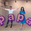 사단법인 파파(PAPA)