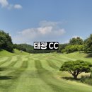태광사정비 | 태광CC 회원권 및 그린피 등 각종 정보
