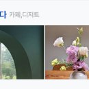 강진야채