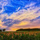 연천호로고루 이미지