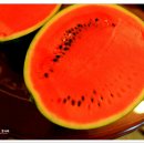 신당농장 이미지