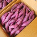 연지농장 이미지